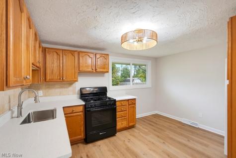 10121 N Delmonte Boulevard Streetsboro OH 44241