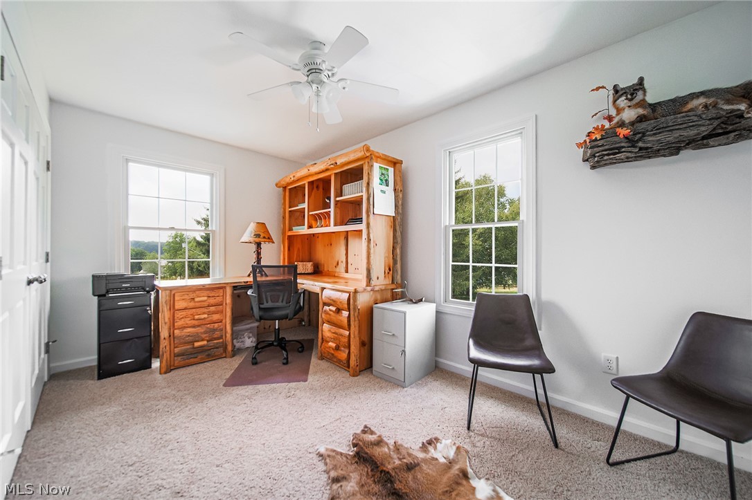 9554 Dover Road Apple Creek OH 44606