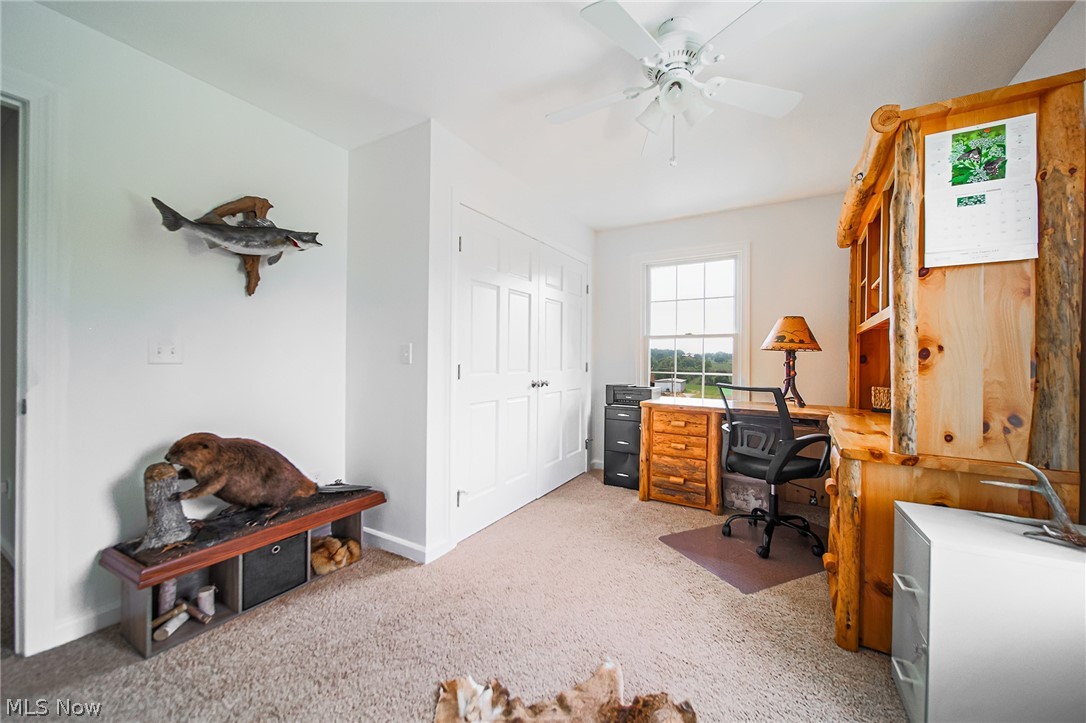 9554 Dover Road Apple Creek OH 44606