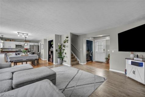 5265 Bringham Drive Brunswick Hills OH 44212