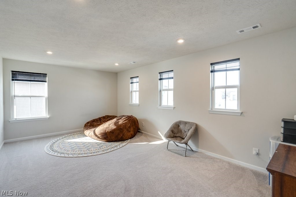 8325 Bedaos Drive Mentor OH 44060