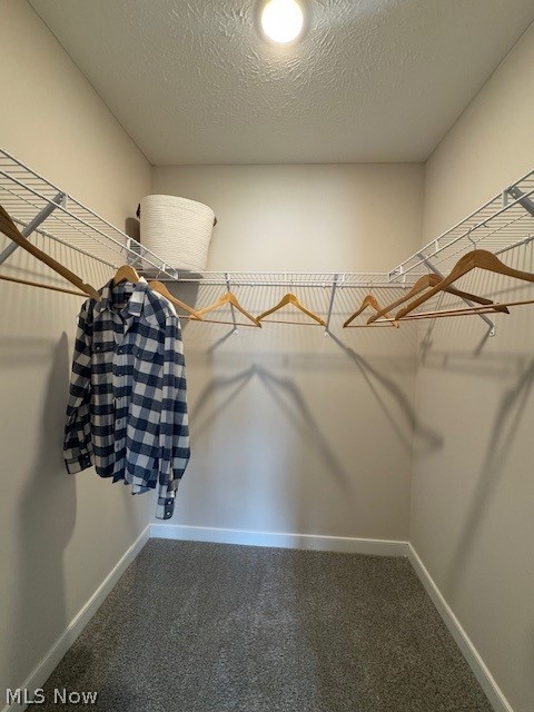 5937 Cape Hatteras Drive Vermilion OH 44089