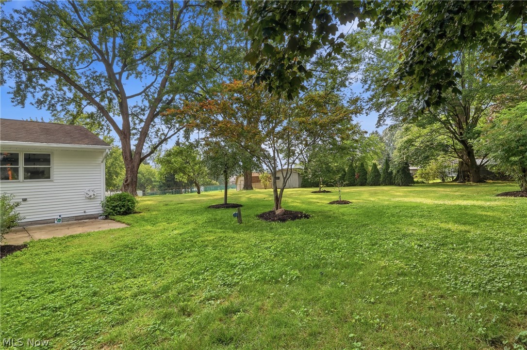 561 Clark Drive Tallmadge OH 44278