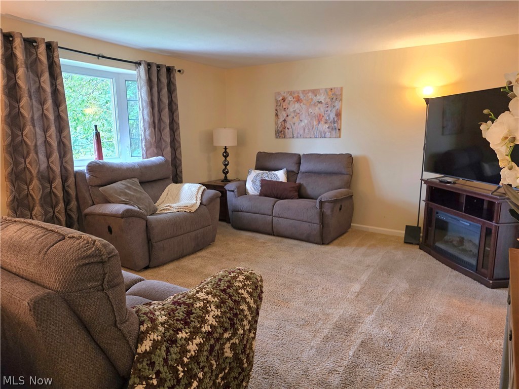 9900 Pebble Beach Cove Aurora OH 44202