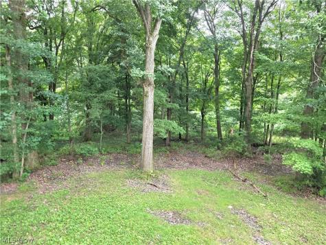 9900 Pebble Beach Cove Aurora OH 44202