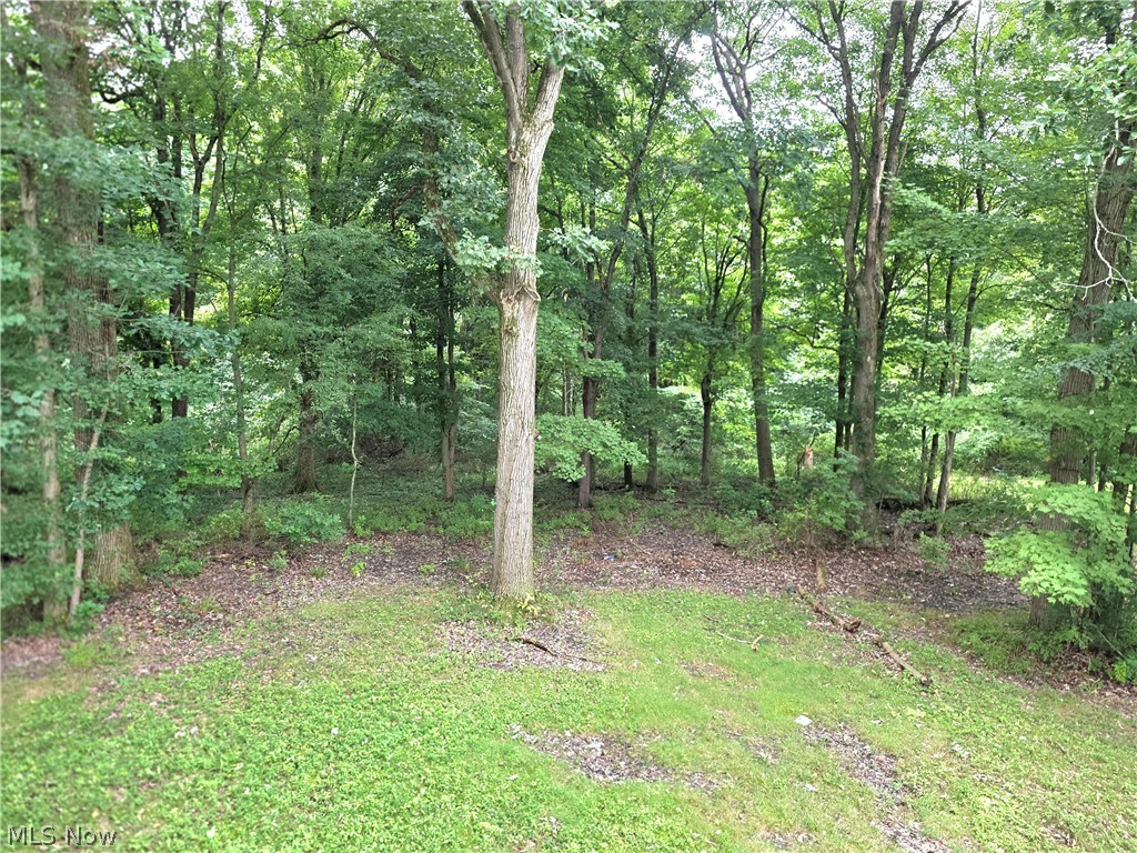 9900 Pebble Beach Cove Aurora OH 44202