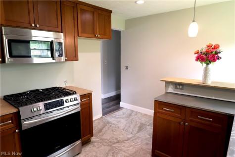 164 Sipple Avenue Amherst OH 44001