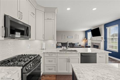 9635 Kingston Trail Olmsted Twp OH 44138
