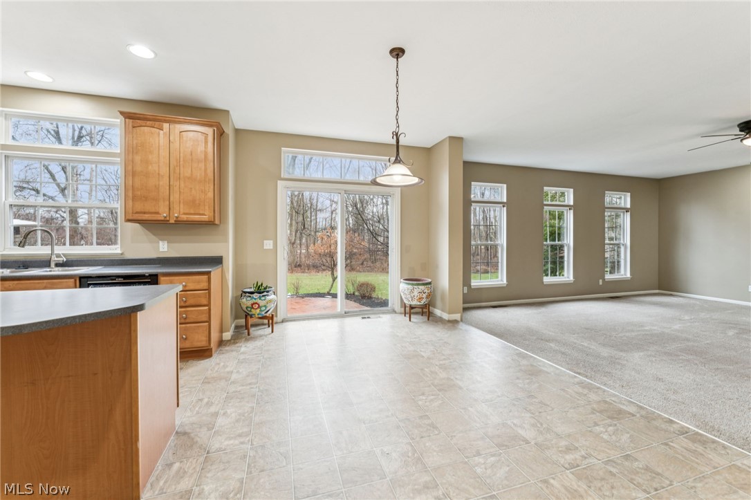 38880 Amberwood Drive Avon OH 44011