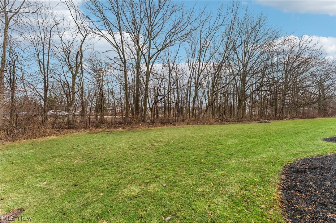 38880 Amberwood Drive Avon OH 44011