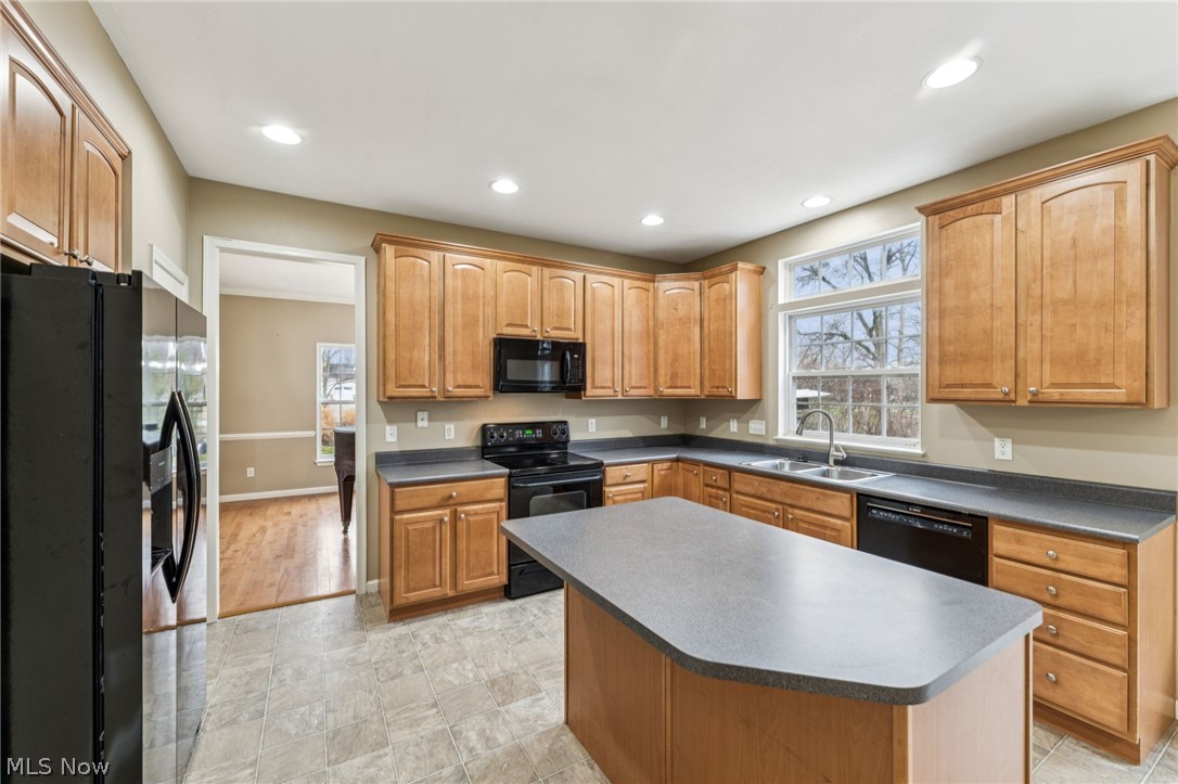 38880 Amberwood Drive Avon OH 44011