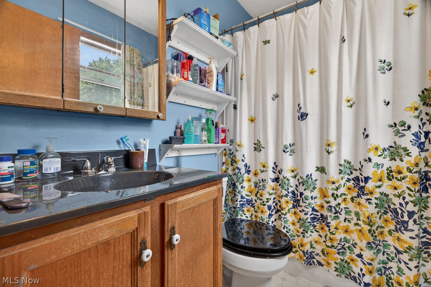 657 Cherry Valley Drive Amherst OH 44001