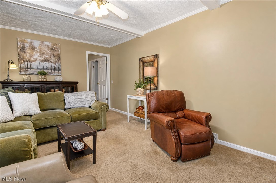 7693 Oakridge Drive Mentor OH 44060