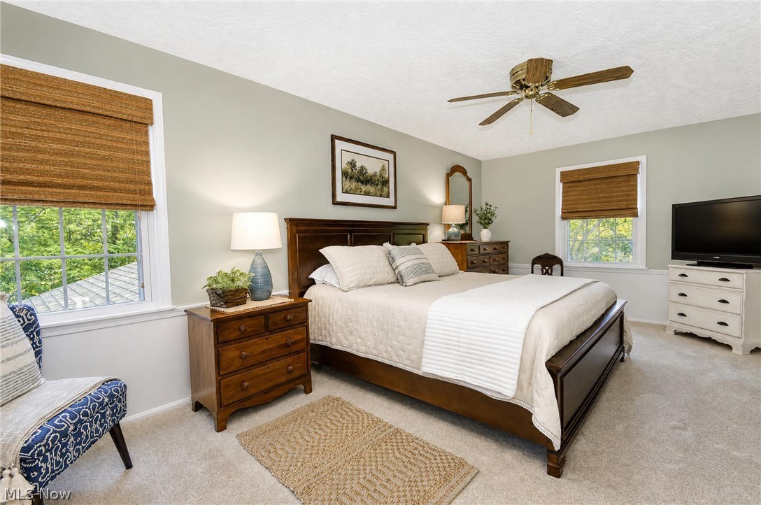 7693 Oakridge Drive Mentor OH 44060