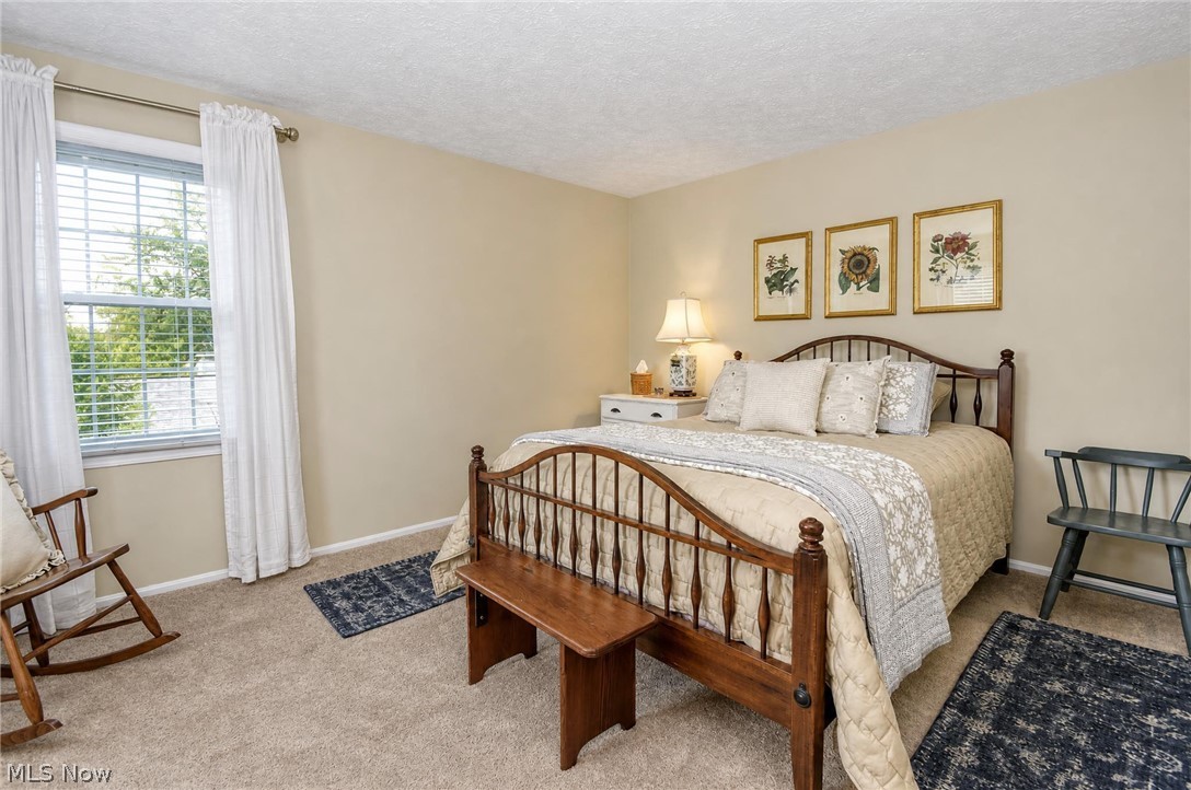 7693 Oakridge Drive Mentor OH 44060