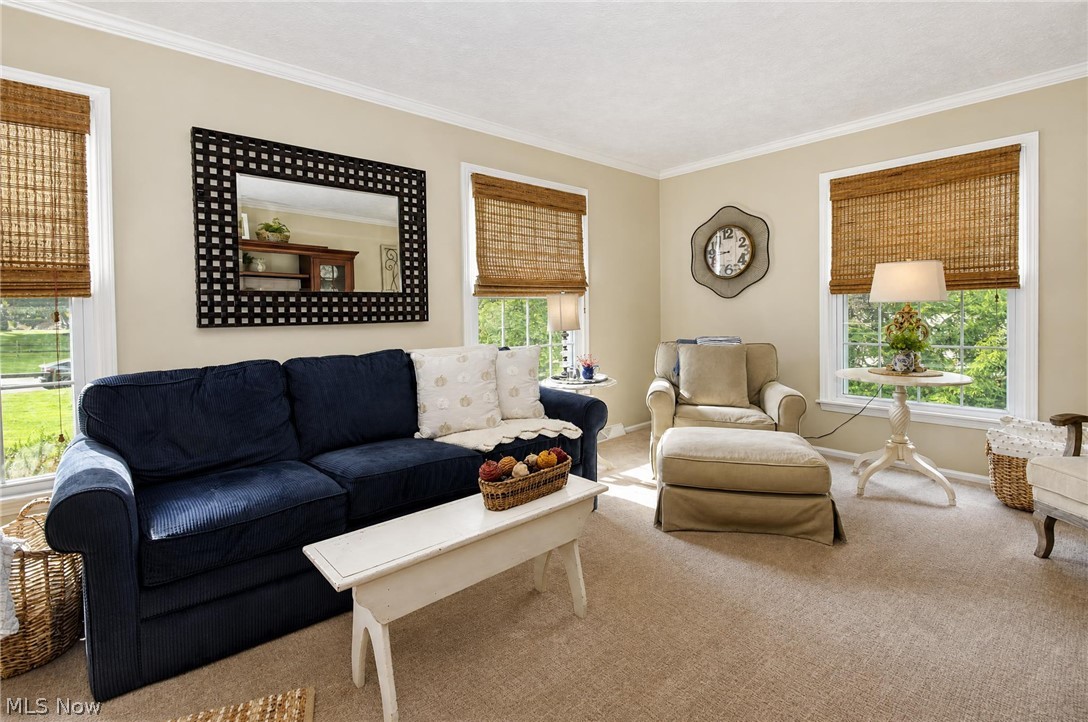 7693 Oakridge Drive Mentor OH 44060