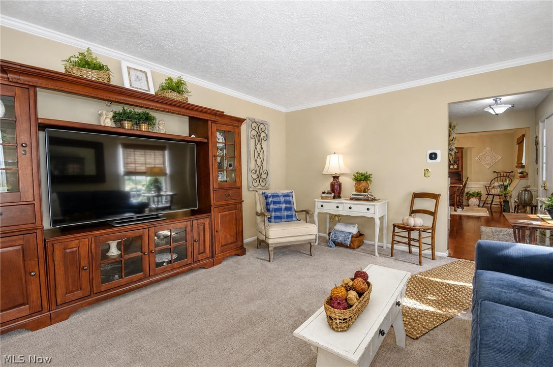 7693 Oakridge Drive Mentor OH 44060