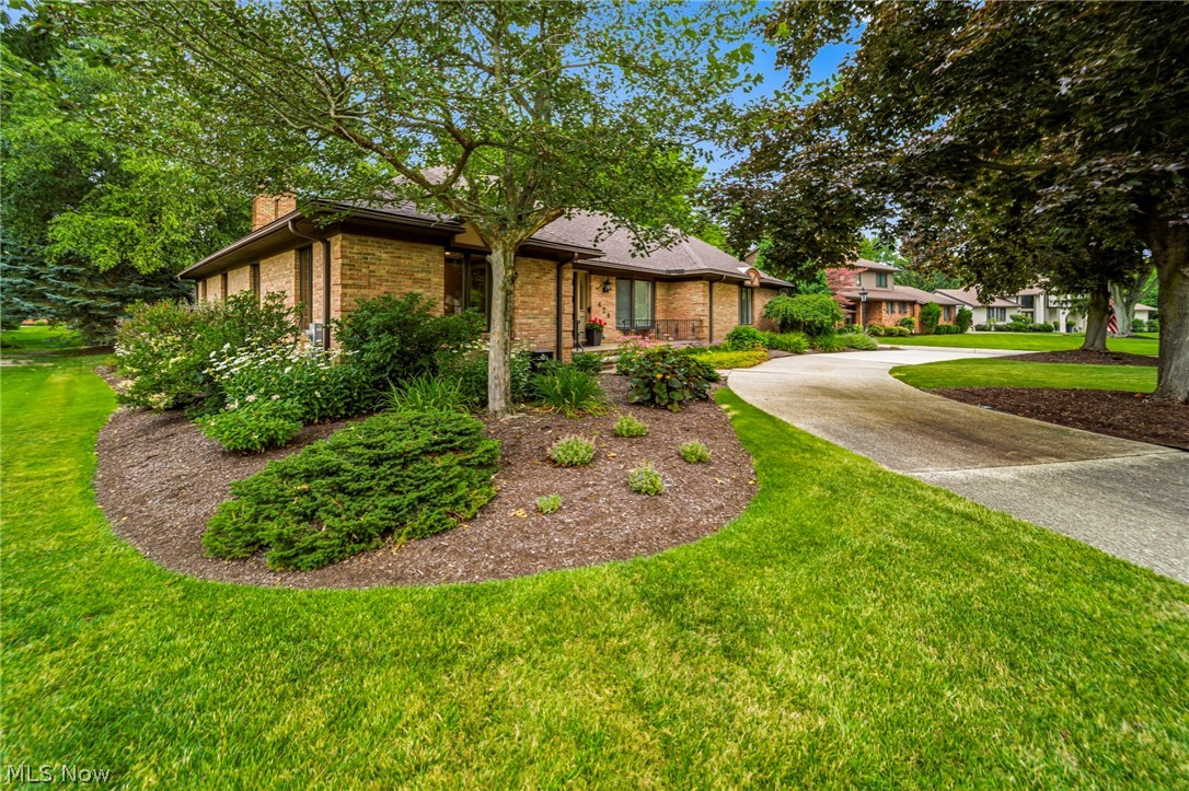 428 Locklie Drive Highland Heights OH 44143