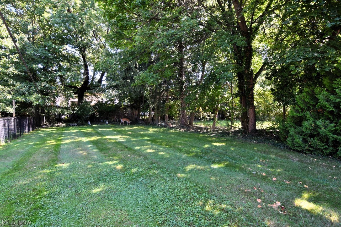 1033 Woodview Road Cleveland Heights OH 44121