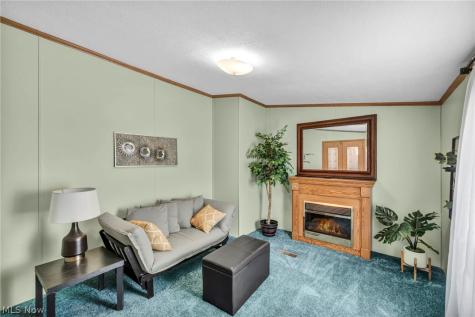 14 Cherry Lane Olmsted Twp OH 44138