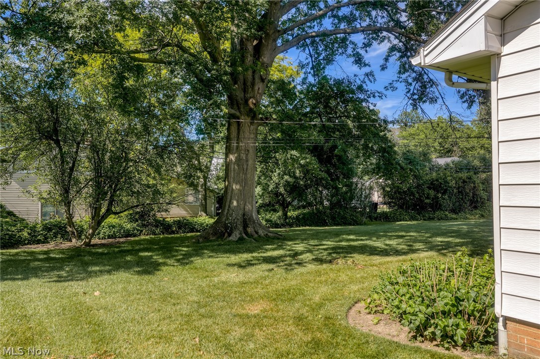 5431 Golfway Lane Lyndhurst OH 44124