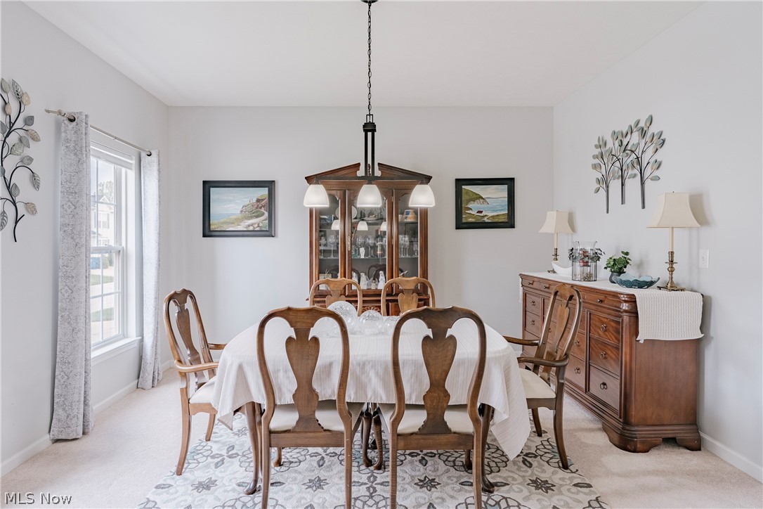38772 Congressional Lane Willoughby OH 44094