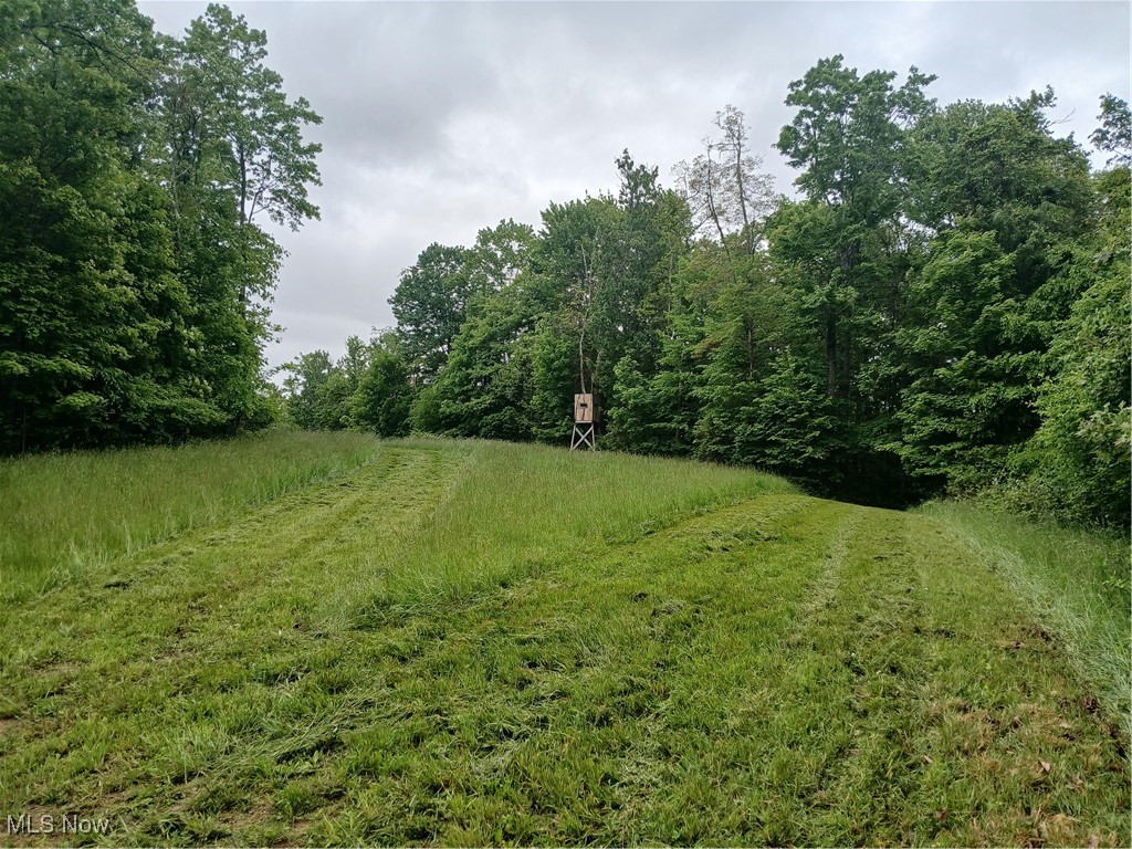 85200 Merryman Road Cadiz OH 43907