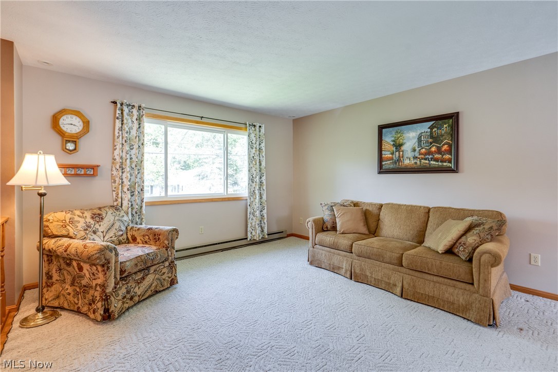7004 Madison Avenue Madison OH 44057