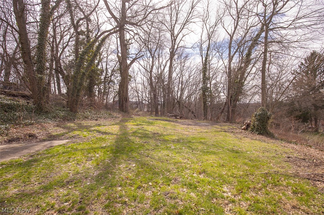 1184 Niagara Avenue Akron OH 44305