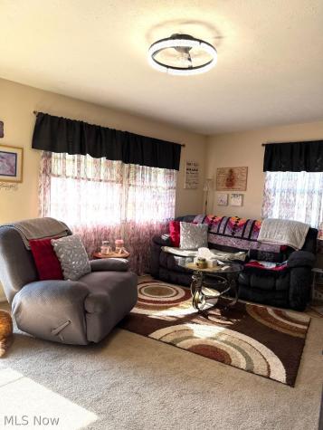 2435 Vardon Drive Lorain OH 44053