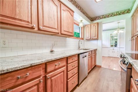 8905 Spring Valley Drive Mentor OH 44060
