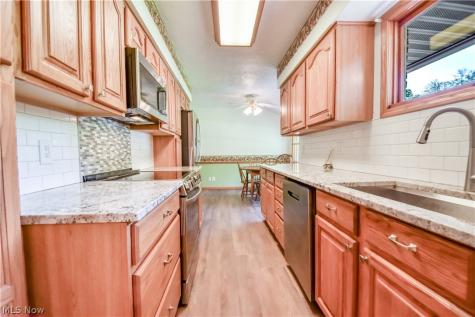 8905 Spring Valley Drive Mentor OH 44060