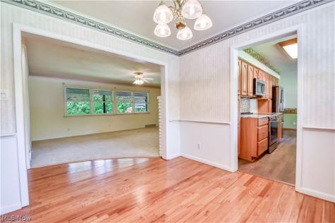 8905 Spring Valley Drive Mentor OH 44060