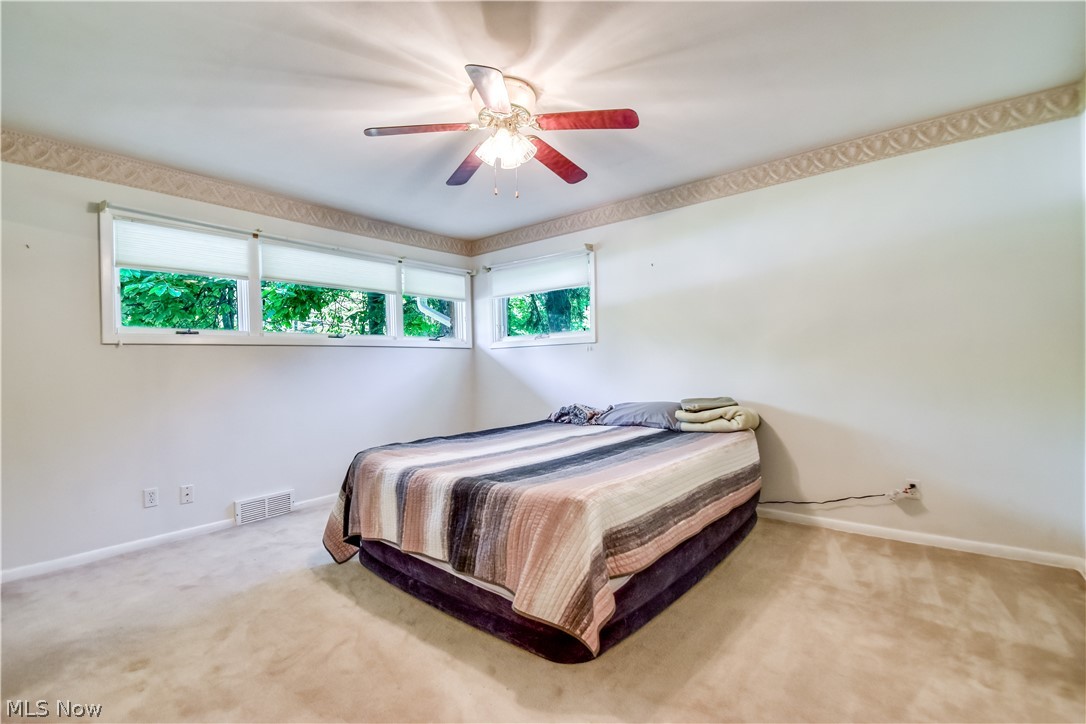 8905 Spring Valley Drive Mentor OH 44060