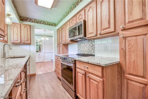 8905 Spring Valley Drive Mentor OH 44060