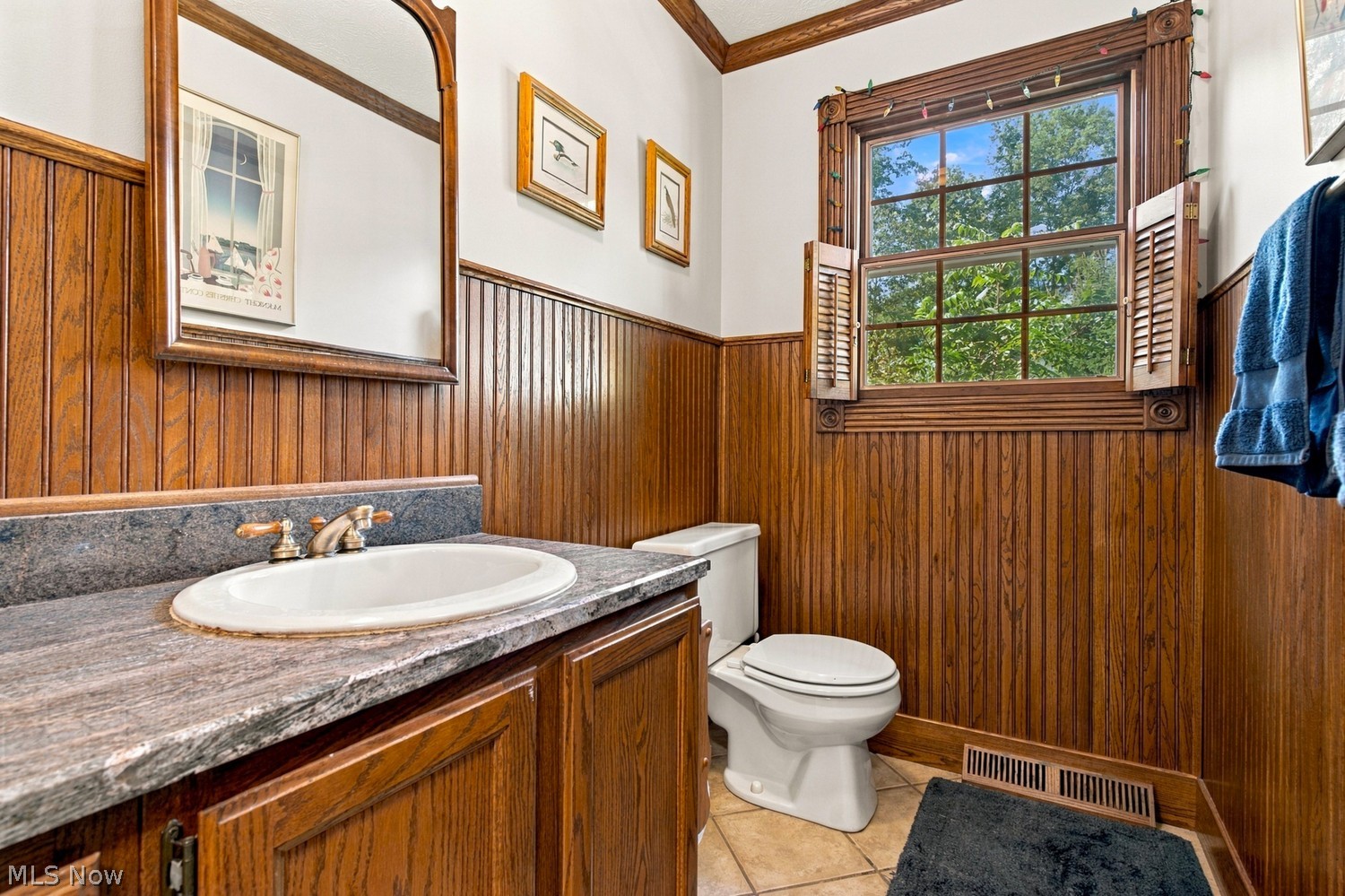 492 E Pioneer Trail Aurora OH 44202