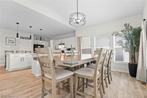 37220 White Feather Avenue North Ridgeville OH 44039
