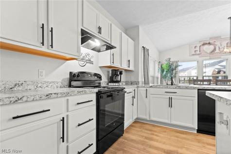 37220 White Feather Avenue North Ridgeville OH 44039