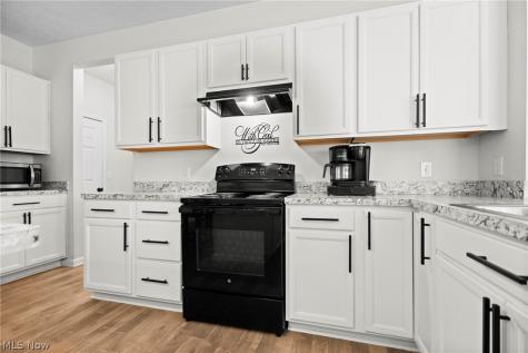 37220 White Feather Avenue North Ridgeville OH 44039