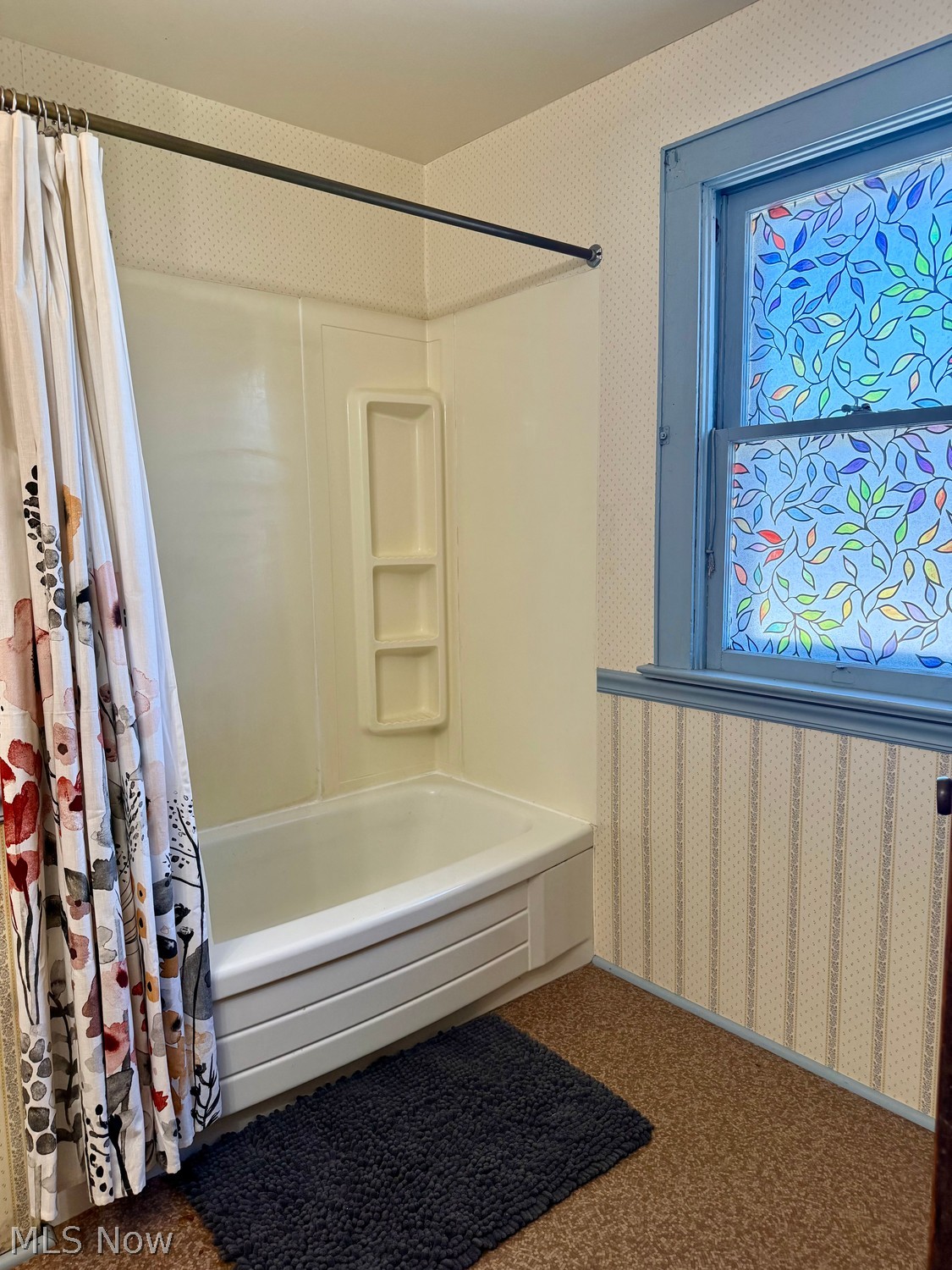 4235 Birchwood Avenue Ashtabula OH 44004
