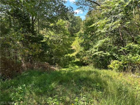 8292 State Route 60 Lowell OH 45744