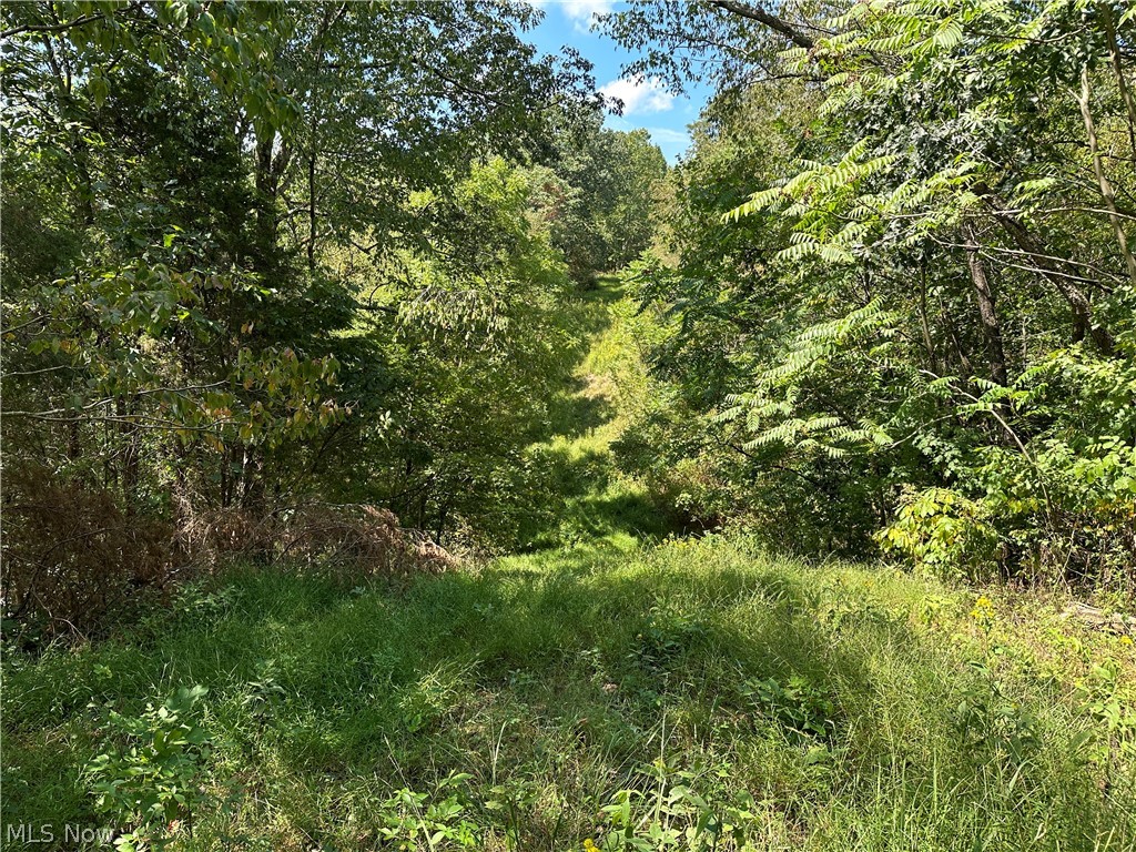 8292 State Route 60 Lowell OH 45744