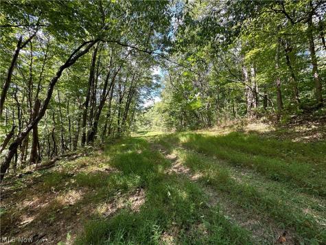 8292 State Route 60 Lowell OH 45744