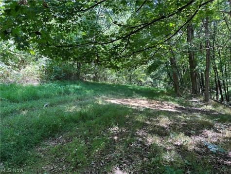 8292 State Route 60 Lowell OH 45744