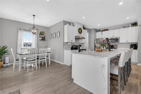 1116 Keenan Court Grafton OH 44044