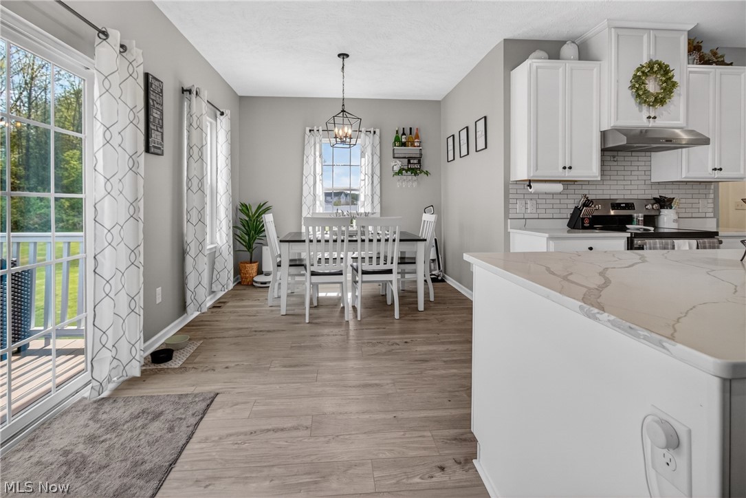 1116 Keenan Court Grafton OH 44044
