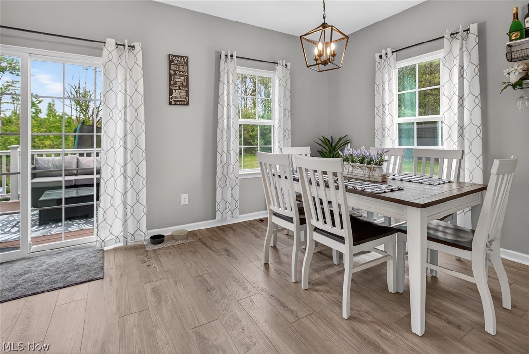 1116 Keenan Court Grafton OH 44044