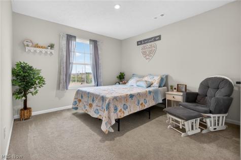 1116 Keenan Court Grafton OH 44044