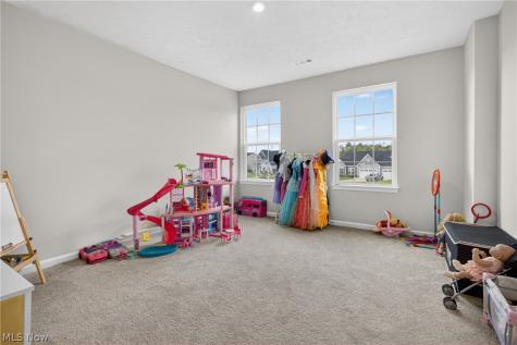1116 Keenan Court Grafton OH 44044