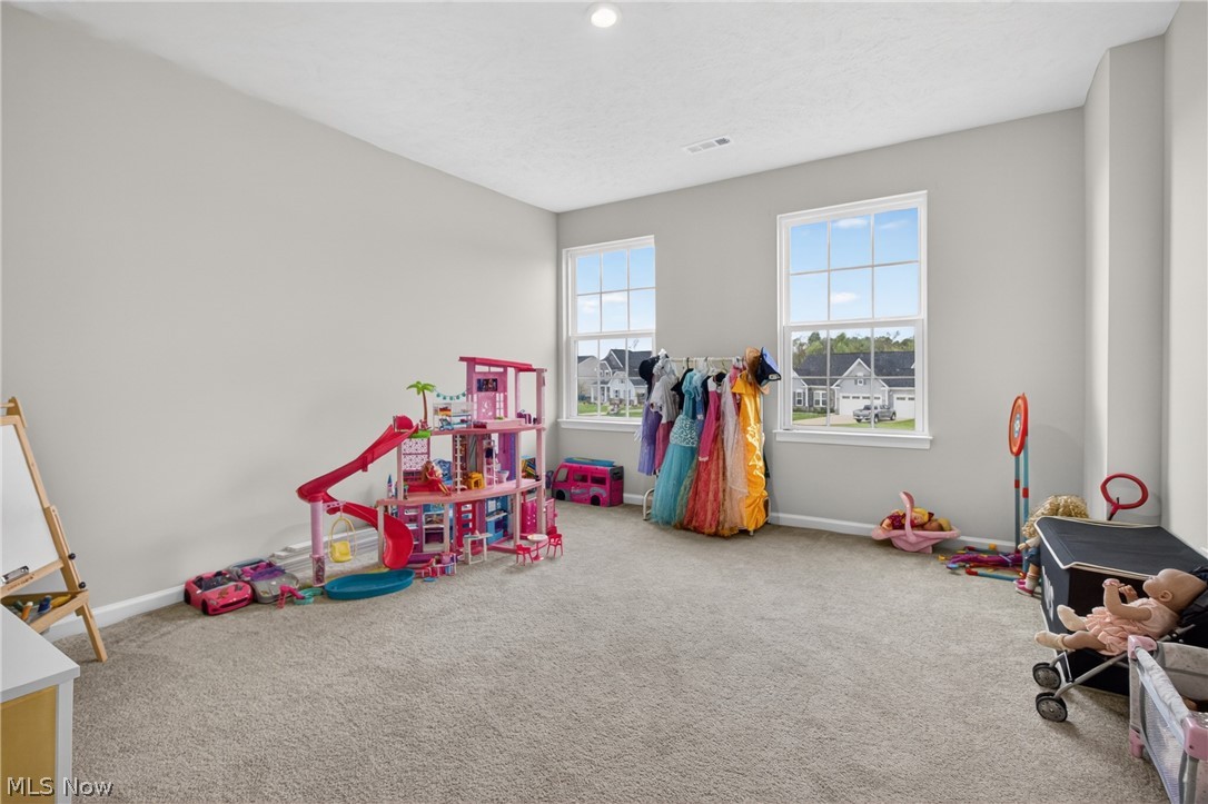 1116 Keenan Court Grafton OH 44044